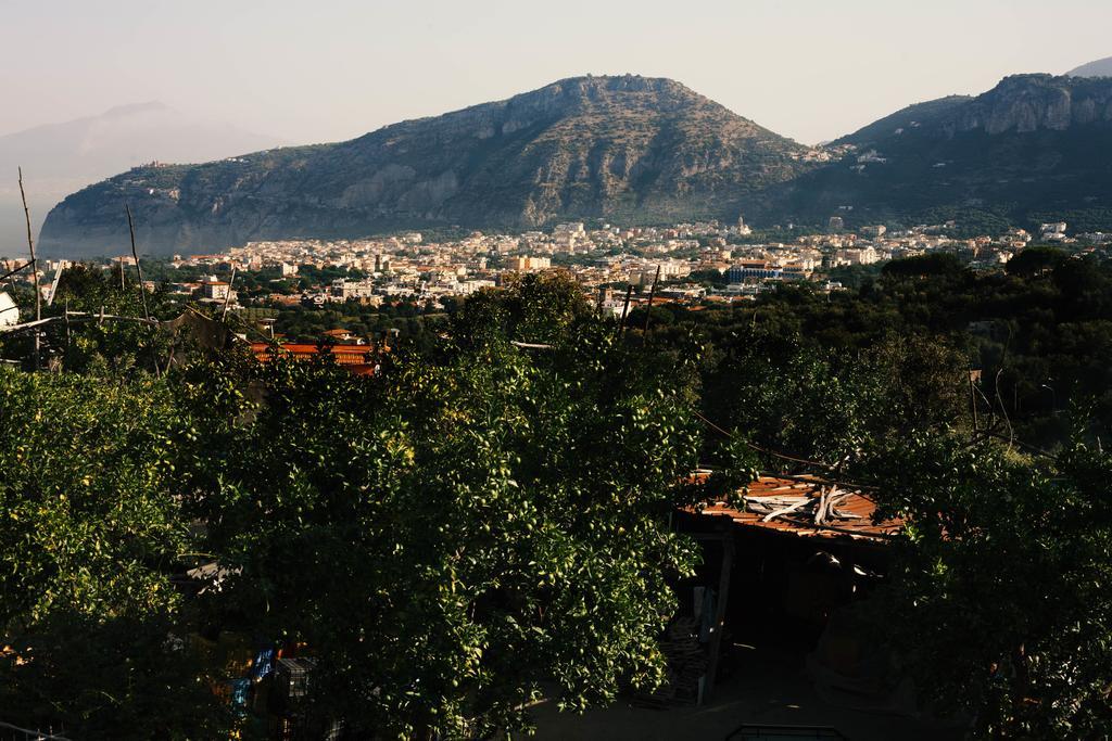 Patrizia Casa Vacanze Sant'Agnello Cameră foto